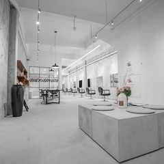 THE FLUXUS HOUSE